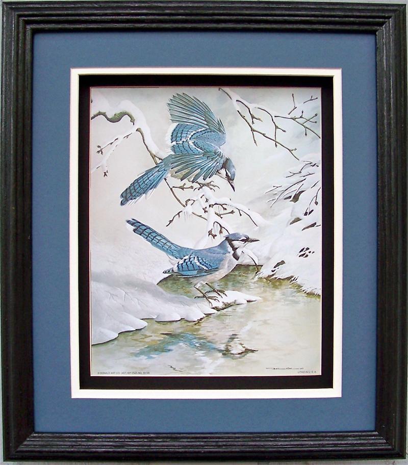 blue jays in winter bird prints 16x20 6188 blue jays christmas ornaments