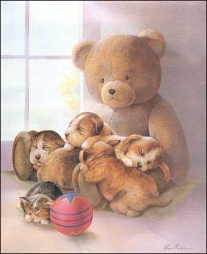 dreams teddy bear